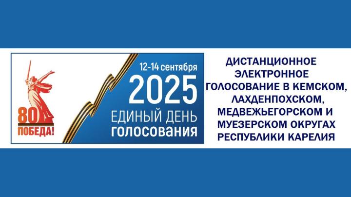 дистанционное голосование