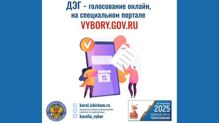 карточка Избиркома РК о ДЭГ