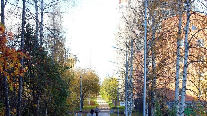 Аллея_кукковка_фонари