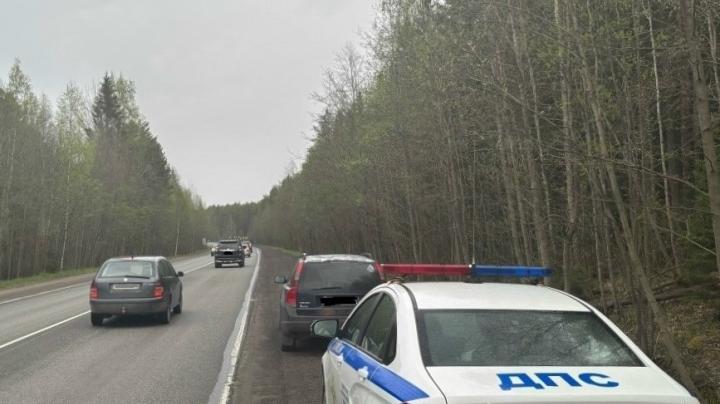 рейд_полиция
