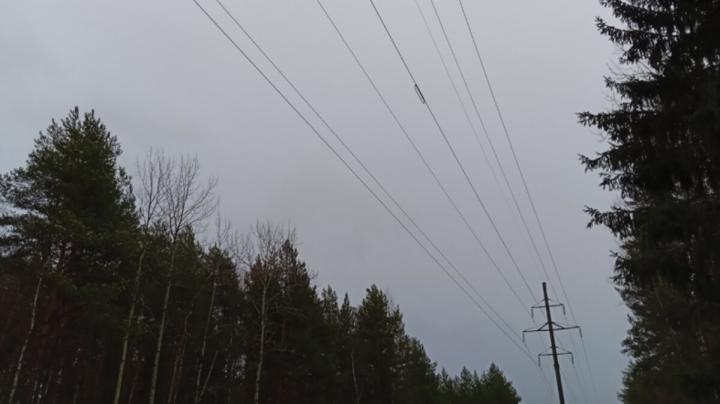 провода_электричество