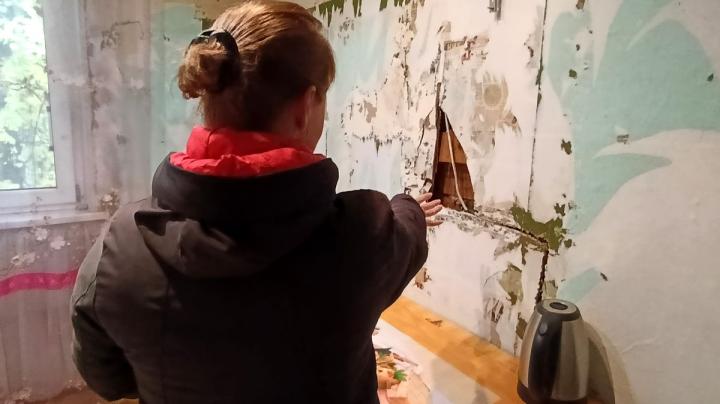 Елена Мастафанова