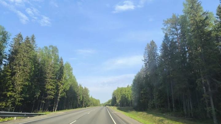 дорога_лето