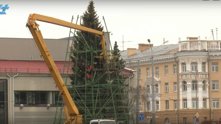 Главная елка на площади Кирова
