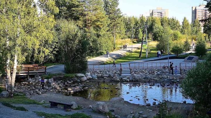 городской парк с утками