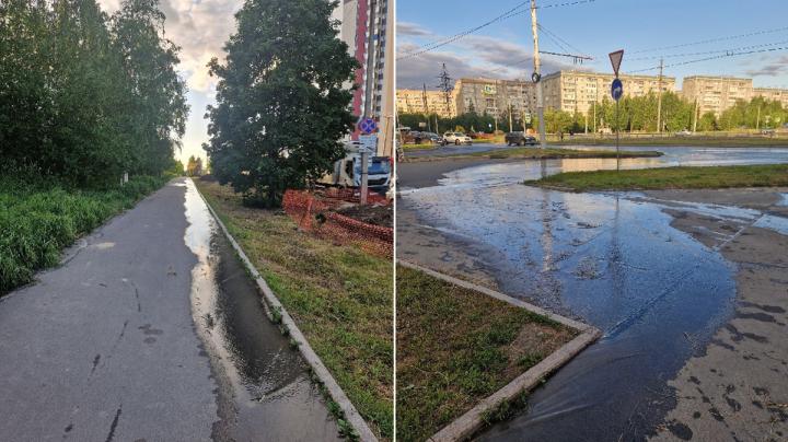 фекалии