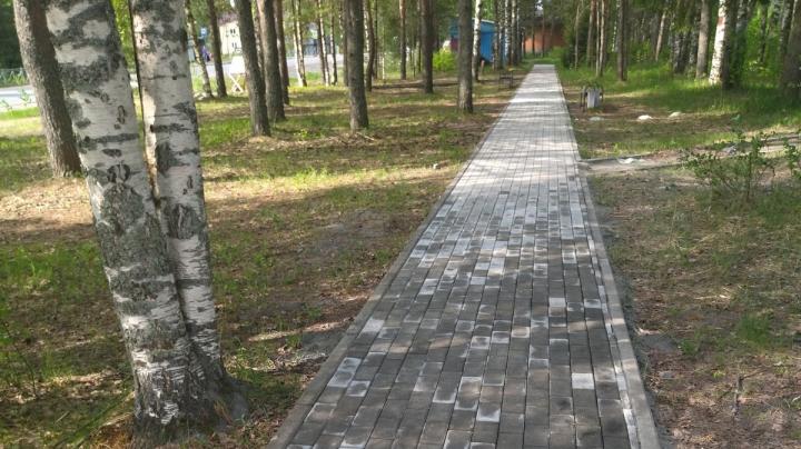 дорожка из тротуарной плитки