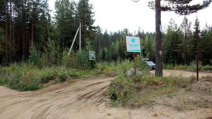 Дорога в поселок Вятиккя