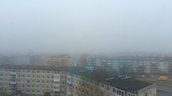 туман_утро_весна_осень