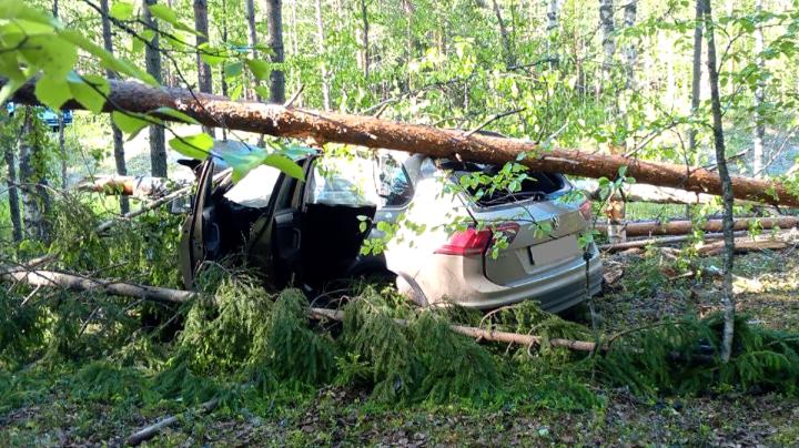 Аварийный автомобиль в кювете.