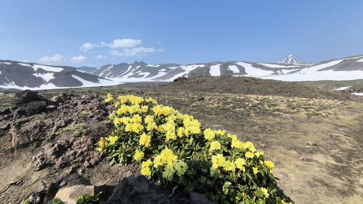 Камчатка