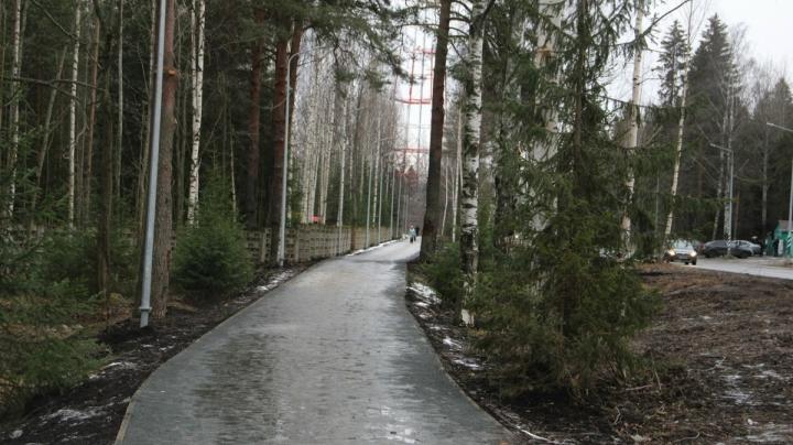 аллея_дорога