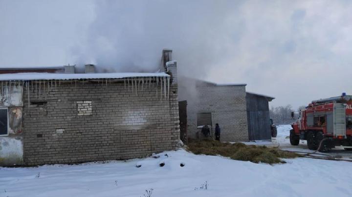 Пожар в Пряже