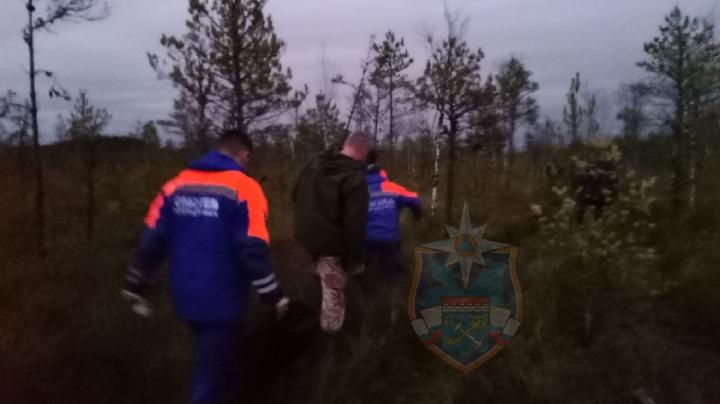 Спасатели в Ленобласти