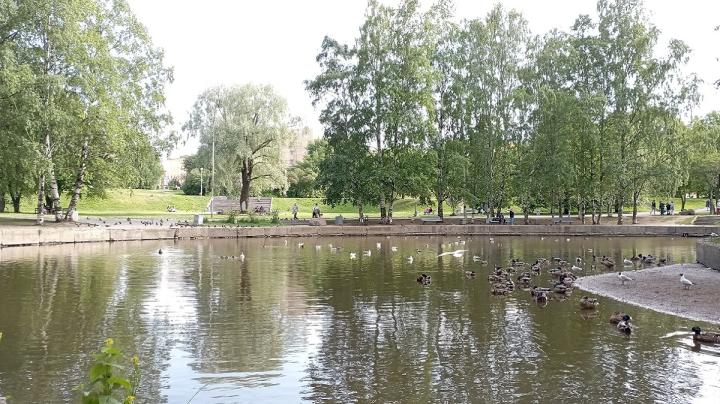 Лето в Петрозаводске