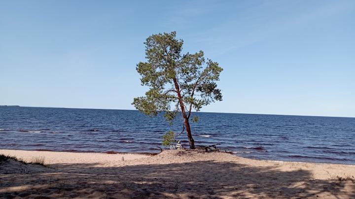 Лето на озере