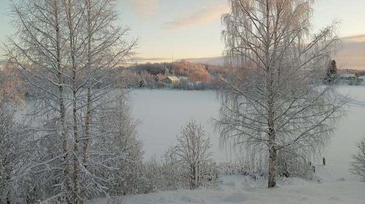 снег_зима_мороз