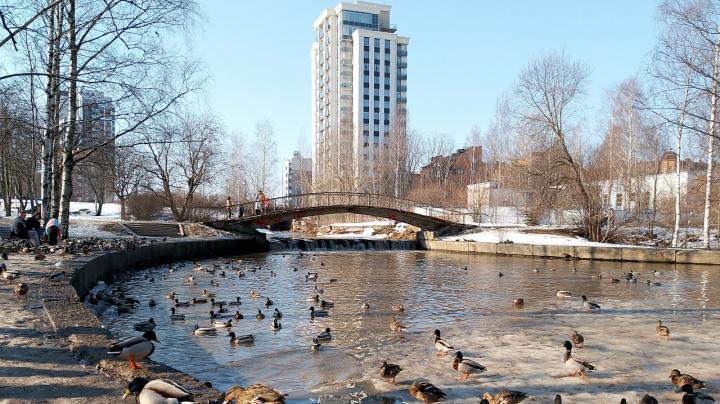 Весна в Петрозаводске