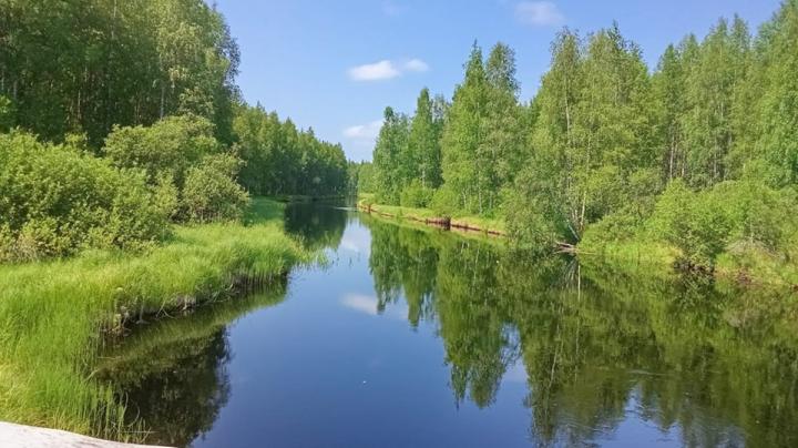 солнечный день