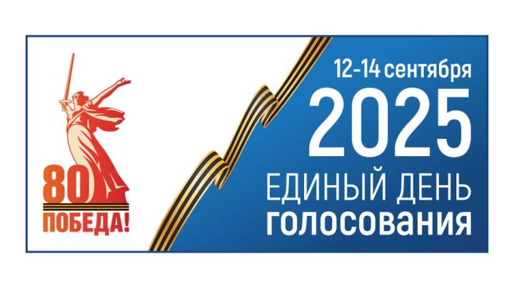 логотип выборы
