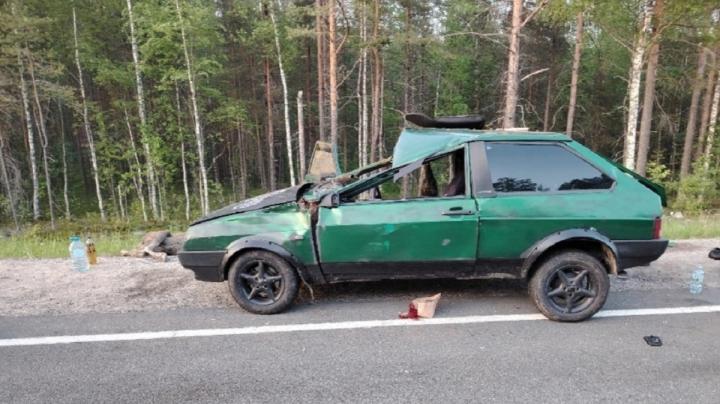 Автомобиль сбил лося