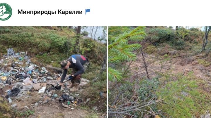 свалка отходов