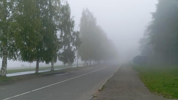 туман