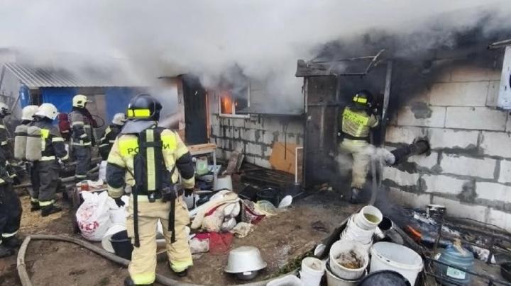 Пожар с собаками