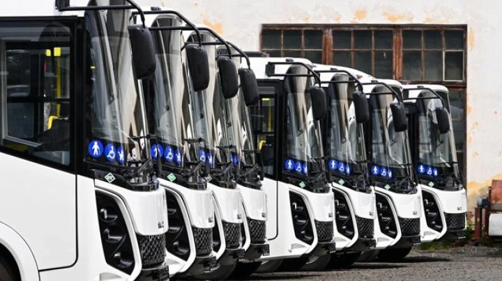 Новые автобусы в Петрозаводске