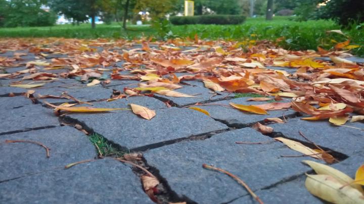Осень в Петрозаводске