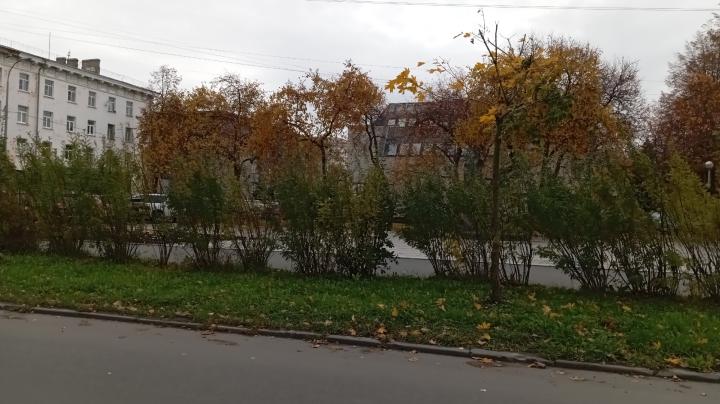 осенняя улица