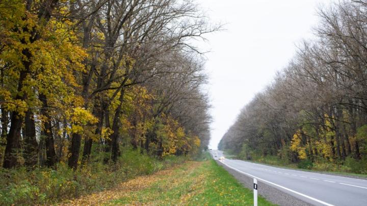 дорога