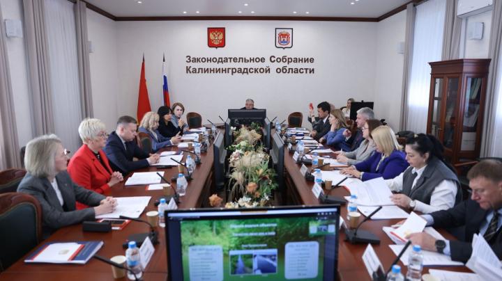 Парламентский комитет