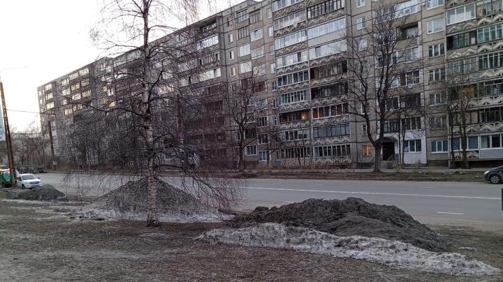 грязный газон