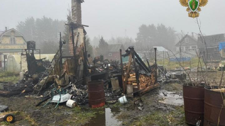 Пожар в Ленобласти