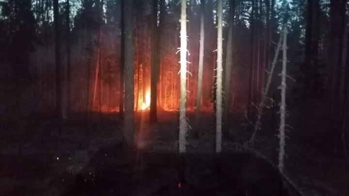 пожар