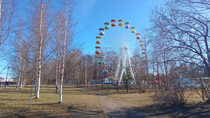 парк весной