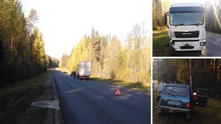 ДТП в Пудожском районе