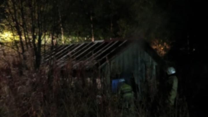 Пожар в Пухте