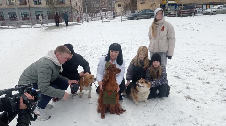 Матрица Победы, собаки герои войны