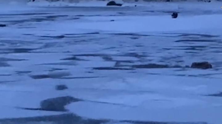 скрин_лед_СК