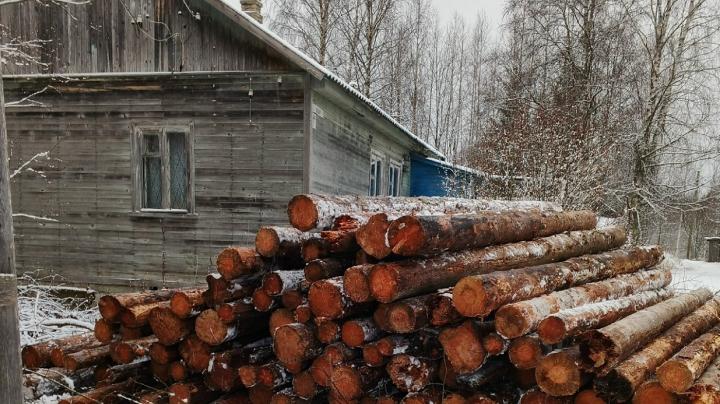 привезли дрова