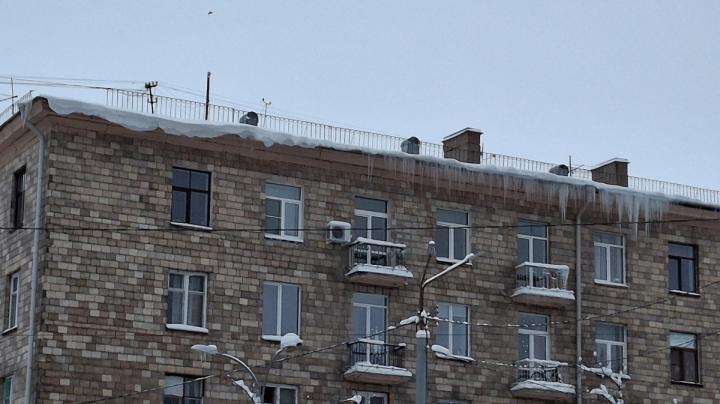 наледь