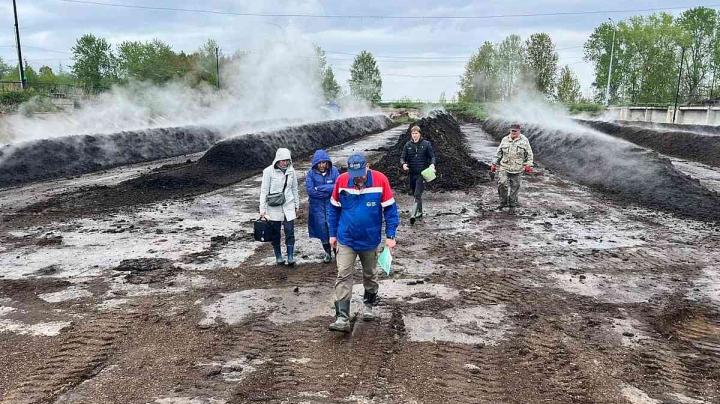 поле тестирования препаратов