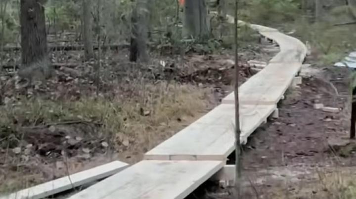 Тропа здоровья