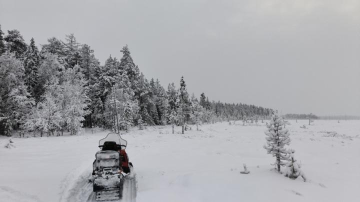 снегоход на природе