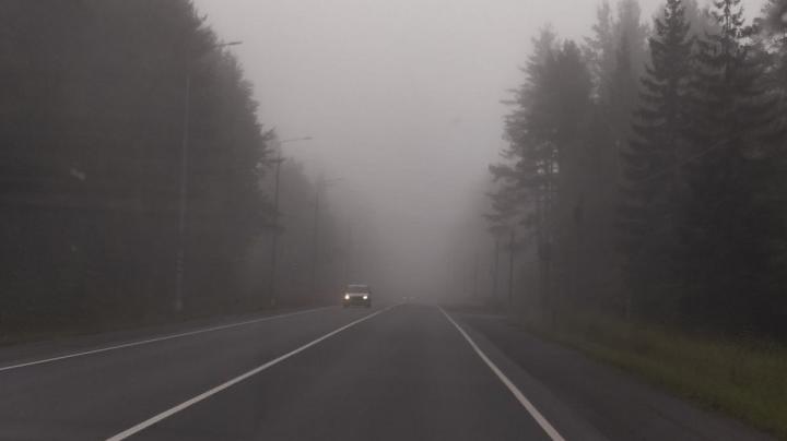 Туман на дороге