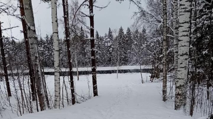 Берег реки Шуи в Салменице
