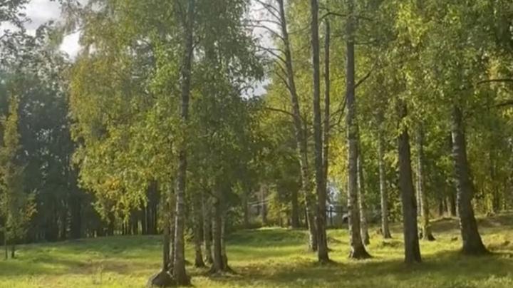 парк_Удега