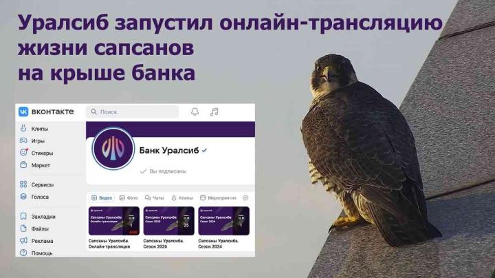 сапсаны уралсиба